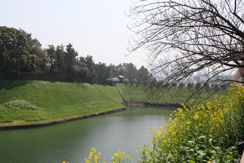 半蔵濠、千鳥ヶ淵公園