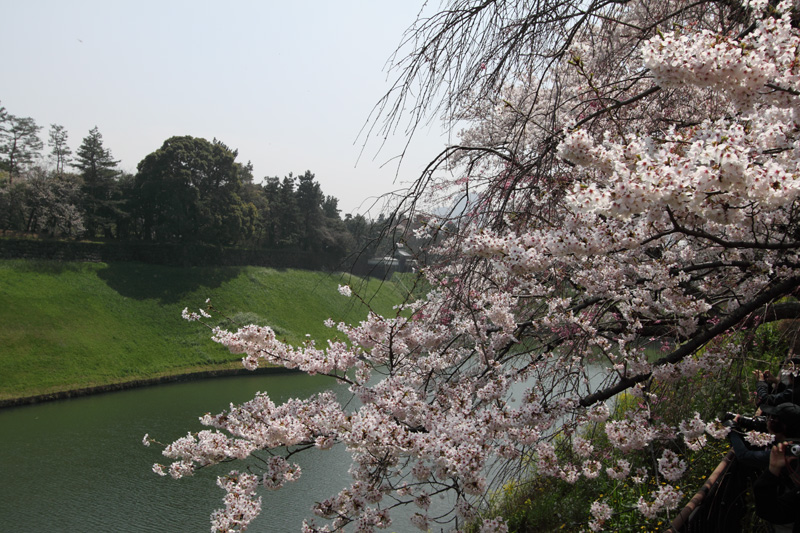 半蔵濠、千鳥ヶ淵公園