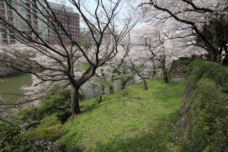 千鳥ヶ淵(北の丸から)